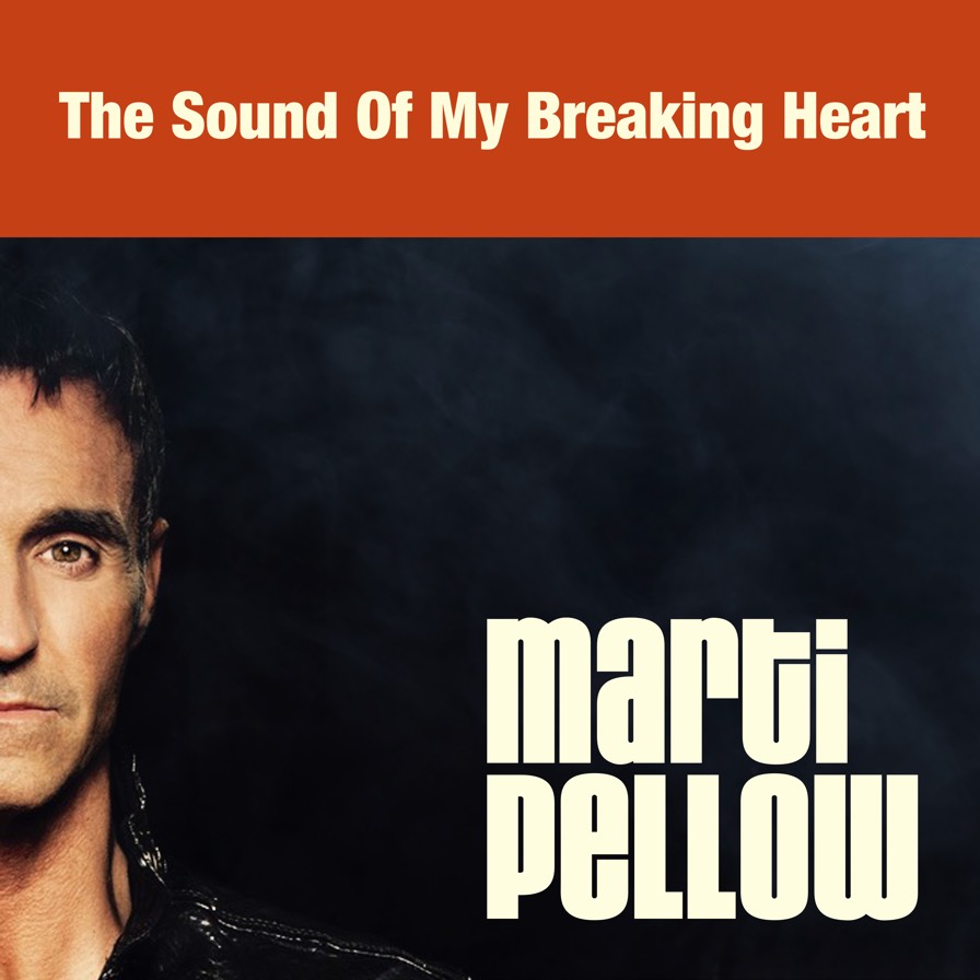 The Sound of My Breaking Heart Single Cover